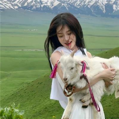 二战：凤凰行动