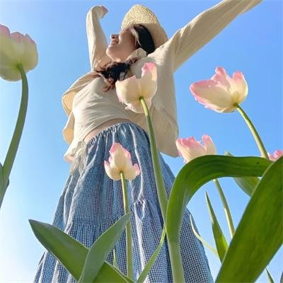 新碧血剑